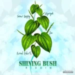 Shining Bush Riddim – Chinese Laundry Music