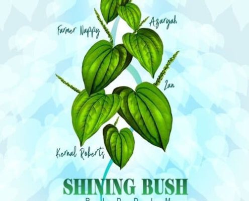 shining bush riddim