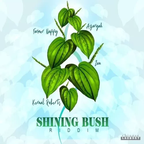 shining bush riddim - chinese laundry music