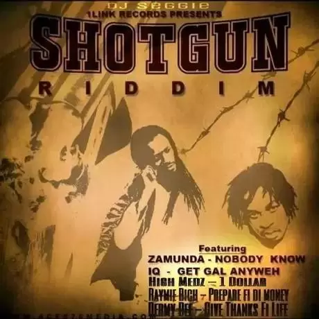 shot gun riddim - dj seggie 1 link records