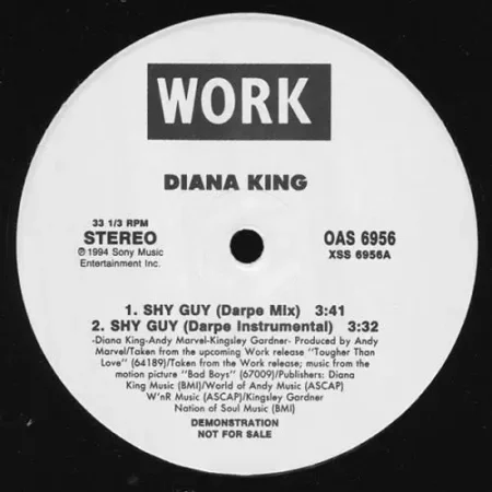 shy guy riddim - work