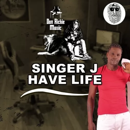 singer j - have life