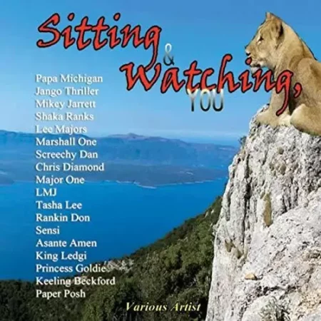sitting-and-watching-riddim