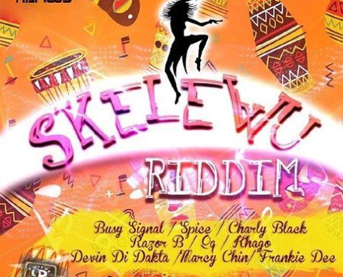 Skelewu Riddim Twelve 9 Records