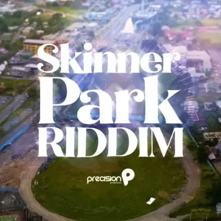 Skinner Park Riddim - Precision Productions