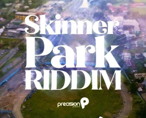 Skinner Park Riddim