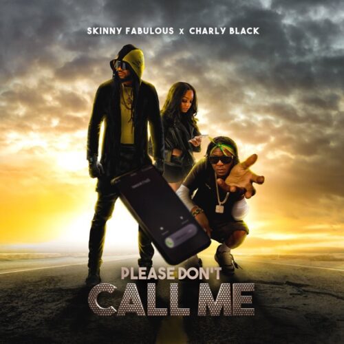 skinny fabulous ft. charly black - please don’t call me