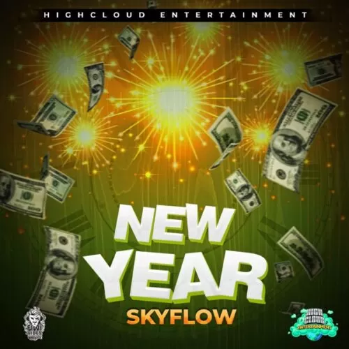 skyflow - new year