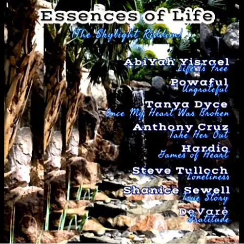 skylight riddim - sky voice records