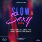 Slow N Sexy Riddim – Silver Birds