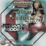 Slow Touch / Intervene / Seize Riddim – DJ Logoand Ashannii Records