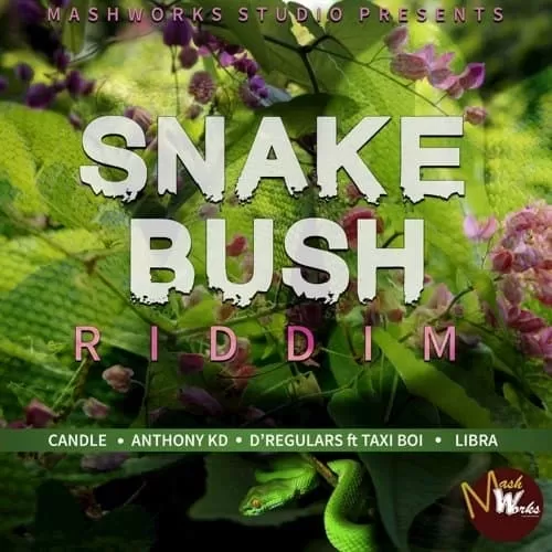 snake bush riddim - mashworks studio