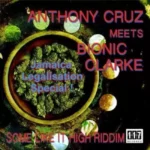 Some Like It High Riddim – 117 Record