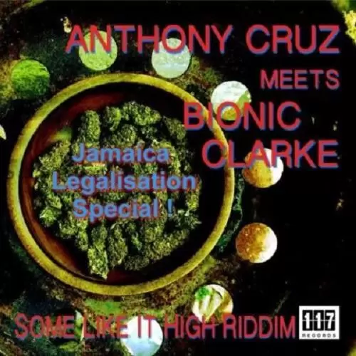 some like it high riddim - 117 record