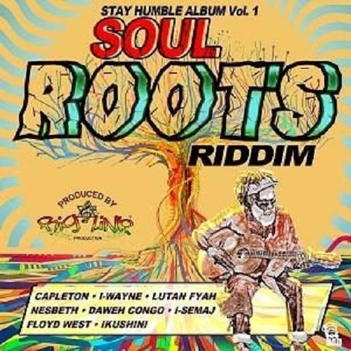 soul roots riddim - big link production