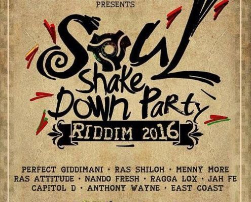 Soul Shake Down Party Riddim