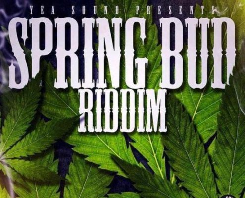 Spring Bud Riddim