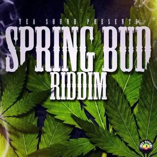 spring bud riddim - yea sound