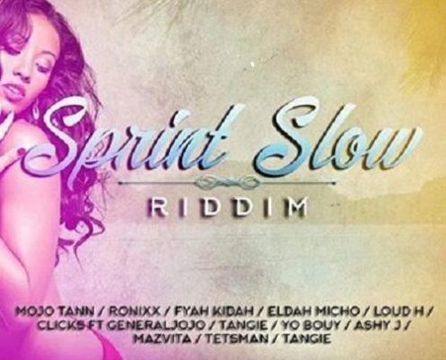Sprint Slow Riddim