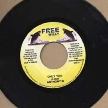 Square Dance Riddim – Free Willy Productions square dance riddim - free willy productions