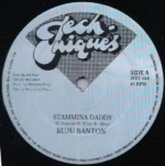 Stamina Daddy Riddim (2001) – Techniques