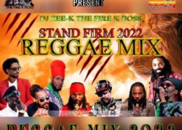 Reggae Dancehall Mixtapes | Riddim World