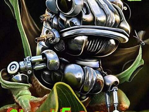Steel Frog Riddim