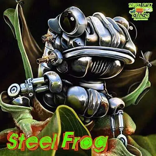 steel frog riddim - truckback records