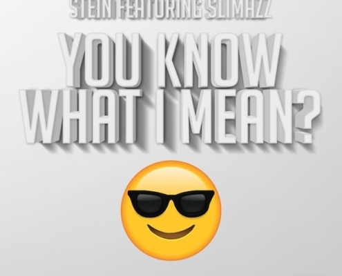 stein-ft-slimazz-you-know-what-i-mean