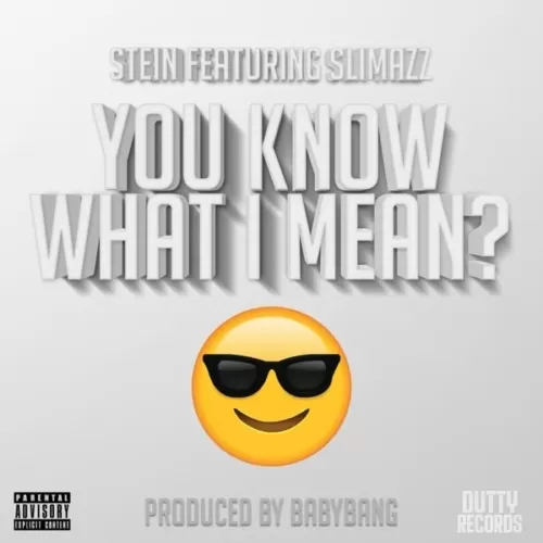 stein ft. slimazz - you know what i mean?