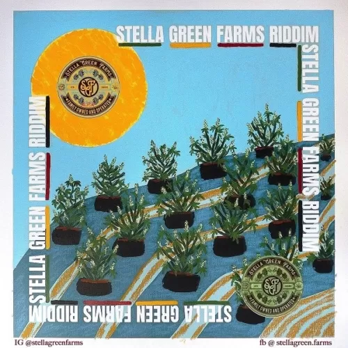 stella green farms riddim - oddiowave
