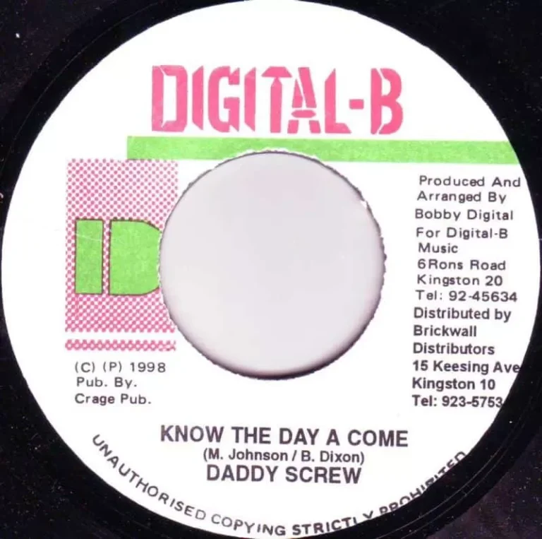 stick it riddim - digital b