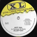 Stink Riddim (1996) – Extra Large Productions