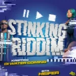 Stinking Riddim – 4th Dimension Productions