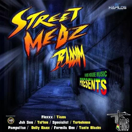 street medz riddim - fams house music