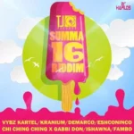 Summa 16 Riddim – Tj Records