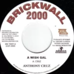 Surgery Riddim – Brickwall 2000