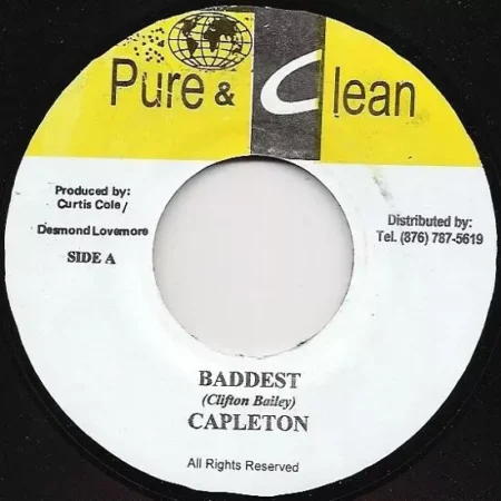 Survivor Riddim – Pure and Clean Records survivor riddim - pure & clean records