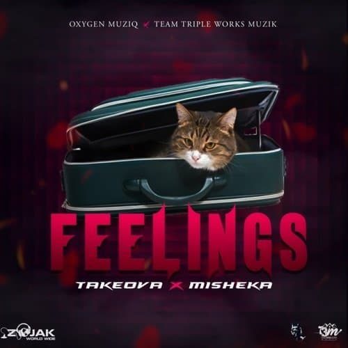takeova, misheka - feelings