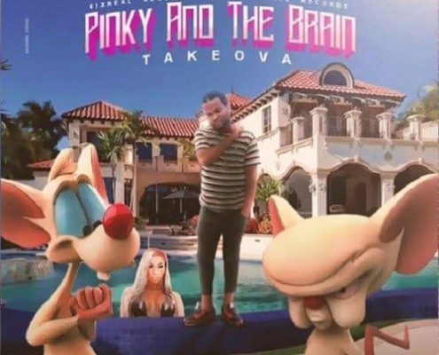 Takeova Pinky And The Brain