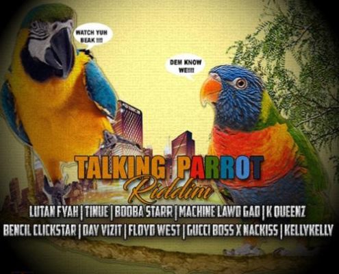 Talking Parrot Riddim