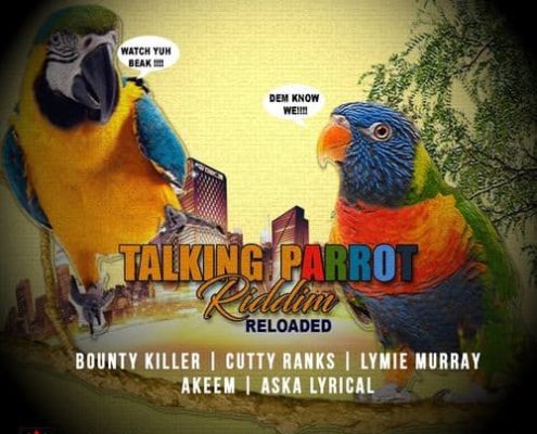 Talking Parrot Riddim Reloaded