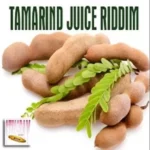 Tamarind Juice Riddim – Stringray Records
