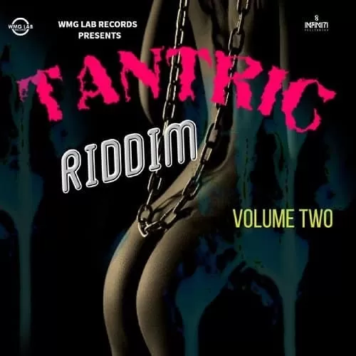 tantric riddim vol 2 - wmg lab records