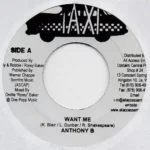 Taxi Records Riddim / Tune IN Riddim – Sly and Robbie