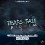 Tears Fall Riddim – Too Faymous Muzik