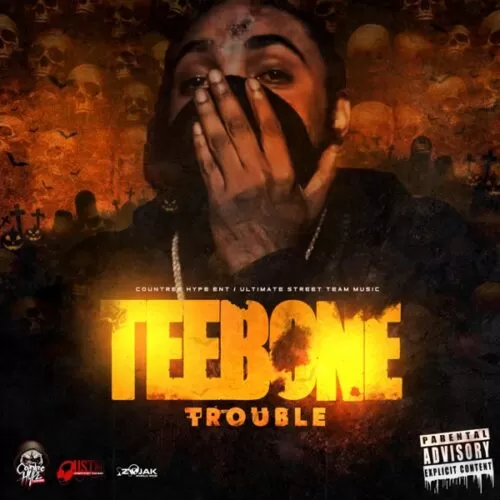 teebone - trouble