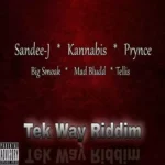 Tek Way Riddim – Mad Bludd