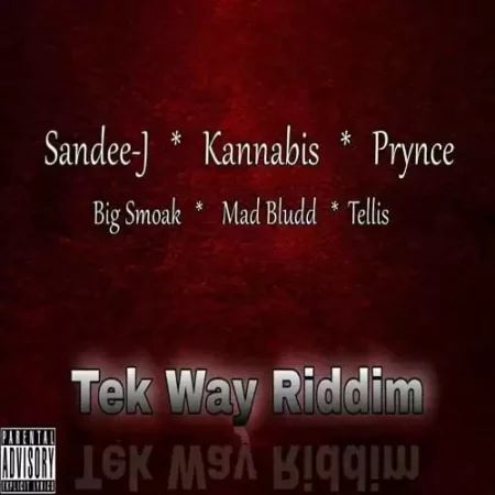 tek way riddim - mad bludd