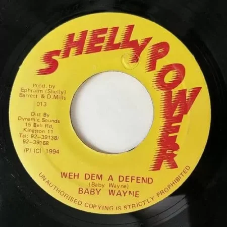 tekno riddim - shelly power